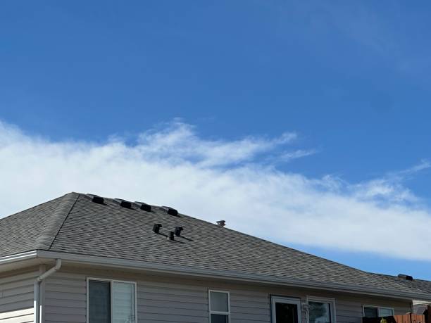 Best Asphalt Shingles Roofing  in Pisgah, AL